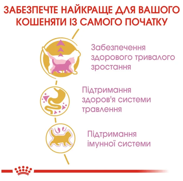 Сухий корм Royal Canin Maine Coon Kitten для кошенят мейн-кунів до 15 місяців, 2 кг
